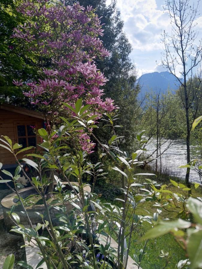 Apartments An Der Traun Bad Ischl Exterior foto